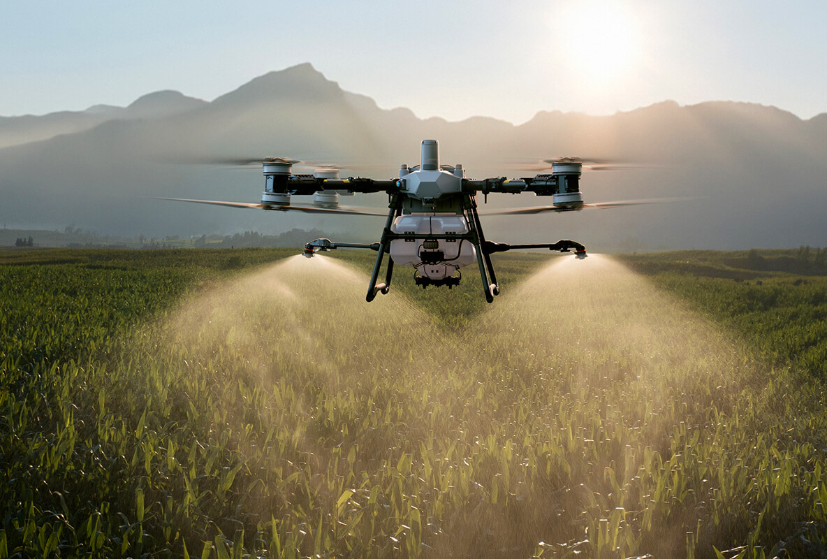 56f69f131be18620c573af972aa29913